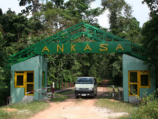 Ankasa-resource-reserve-3